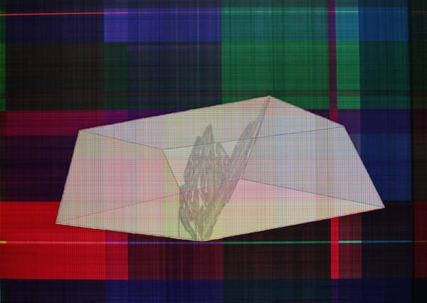 ZHANG Ruyi Greenhouse 温室, 2013 Mixed media on paper 纸本综合材料 75 x 105 cm