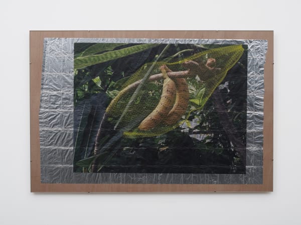 ZHANG Ruyi Forging 觅食, 2019 Aluminum foil, UV Print, clip frame, wood panel, color pencil 铝箔,UV打印,编辑框架,木板,彩铅 50 x 75 cm