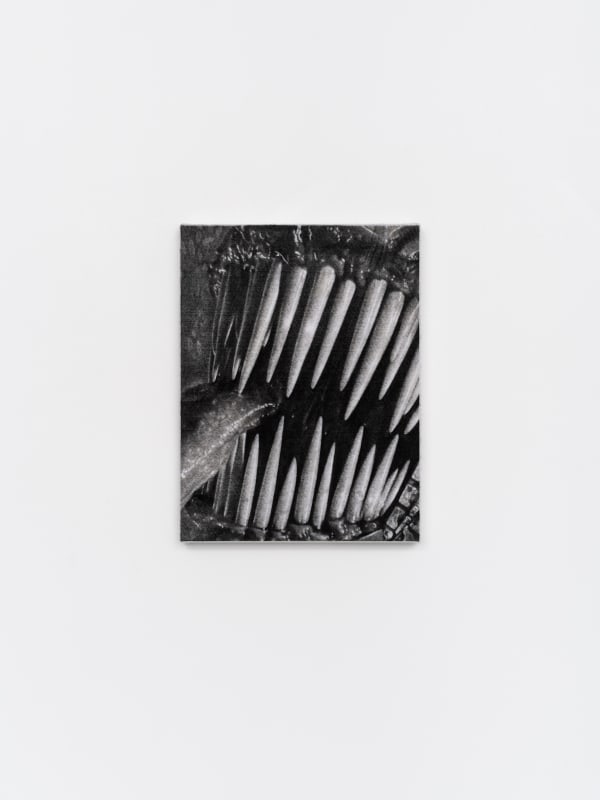 ZHANG Yunyao Fragility 脆弱, 2022 Graphite pencil on felt stretched on panel 石墨铅笔毛毡裱于木板 41 x 31 cm