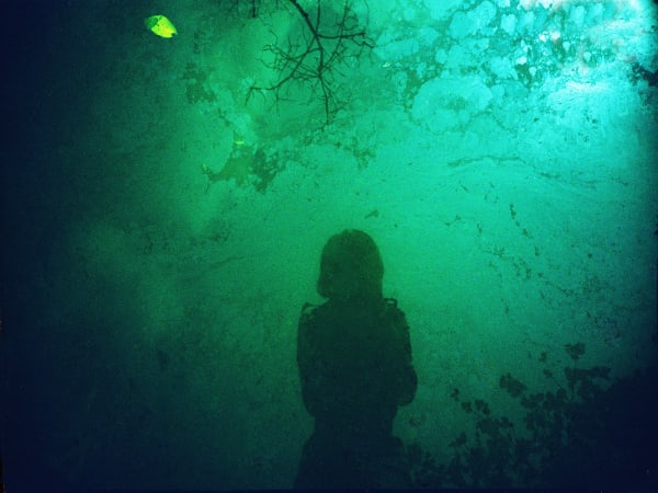 Shadow on the Water, Trees 水影·树