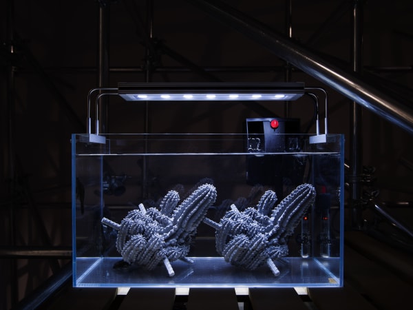 ZHANG Ruyi Submerged Landscape-1 浸泡景观–1, 2019 Air conditioner condenser, aquarium, concrete, Suckermouth catfish, heater, filter, light, wood pallet 鱼缸,混凝土,清道夫,加热棒,过滤器,灯,木托板 43 x 63 x 33 cm, 80 x 90 x 55 cm(with wood pallet 含木托板)