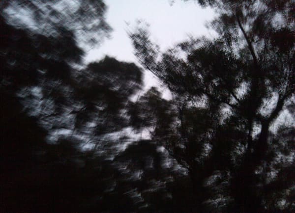 LEI Benben, Shadow of the Tree 树影 7, 2012