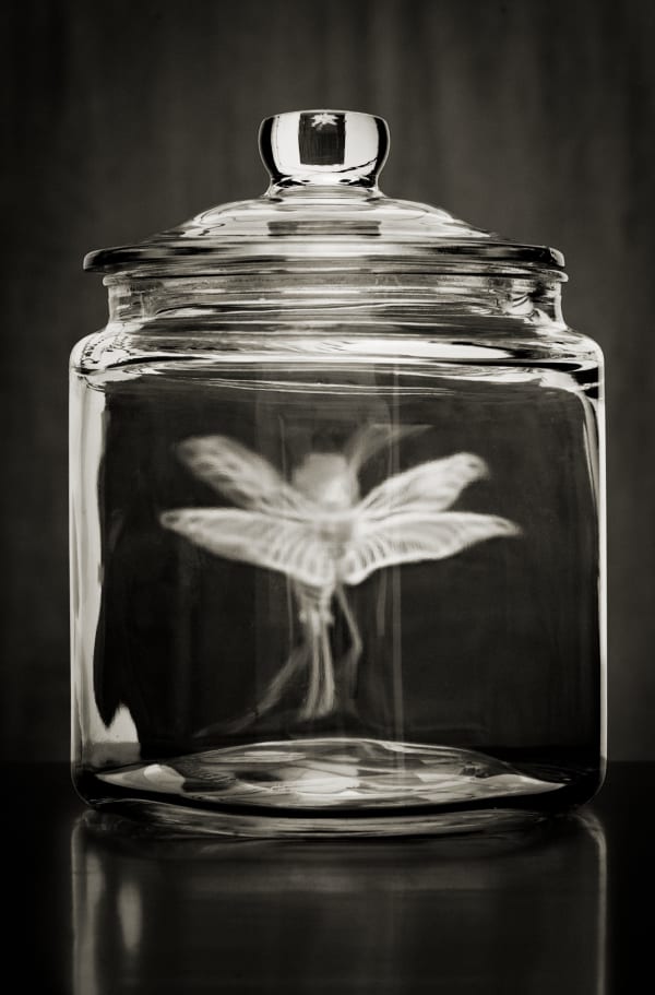 Michael Ryan, Faeries Are Dangerous 精灵是危险的, 2011