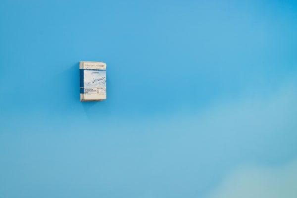 LIU Ren Missing 失踪, 2014 0il and mixed media 油彩和综合材料 29.5 x 17 x 10.5 cm Wall dimensions variable 29.5 x 17 x 10.5 cm 墙面尺寸可变