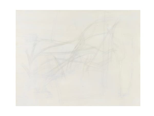 ZHANG Peiyun In The Garden #12 在园中 #12, 2022 Pencil on board 木板铅笔 27 x 35 cm