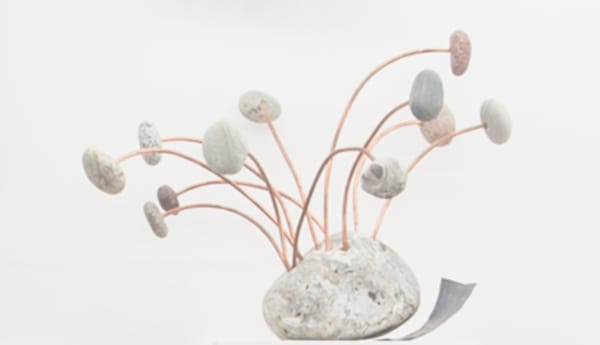 Today Project 今日计划