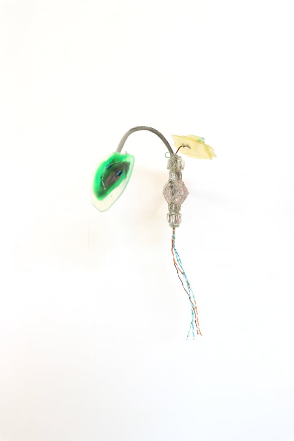 Gillian Brett, Bromus Rubens, 2022