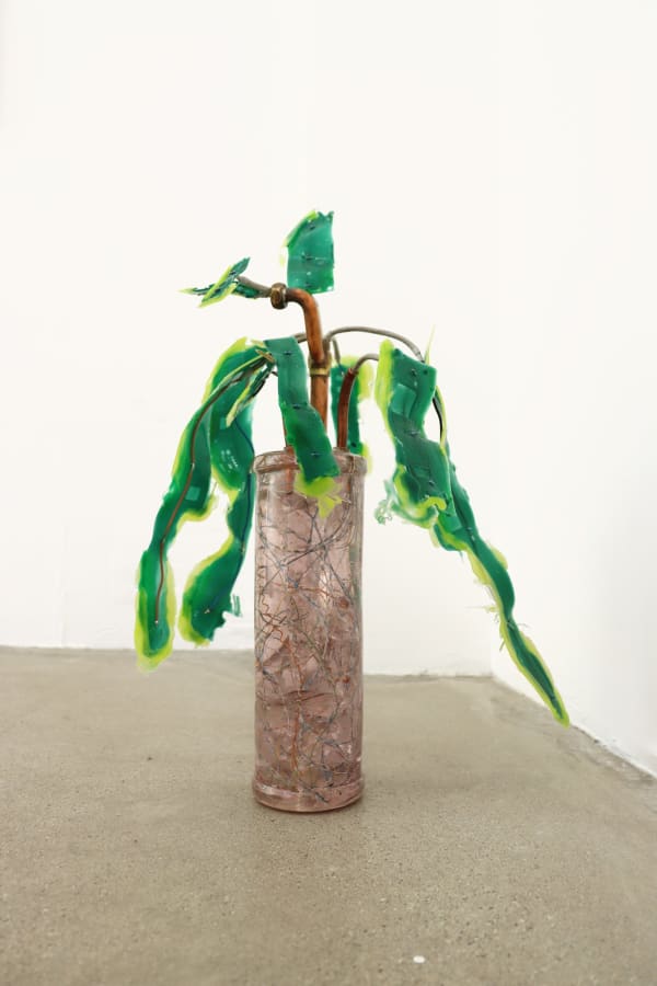 Gillian Brett, Conyza canadensis, 2022