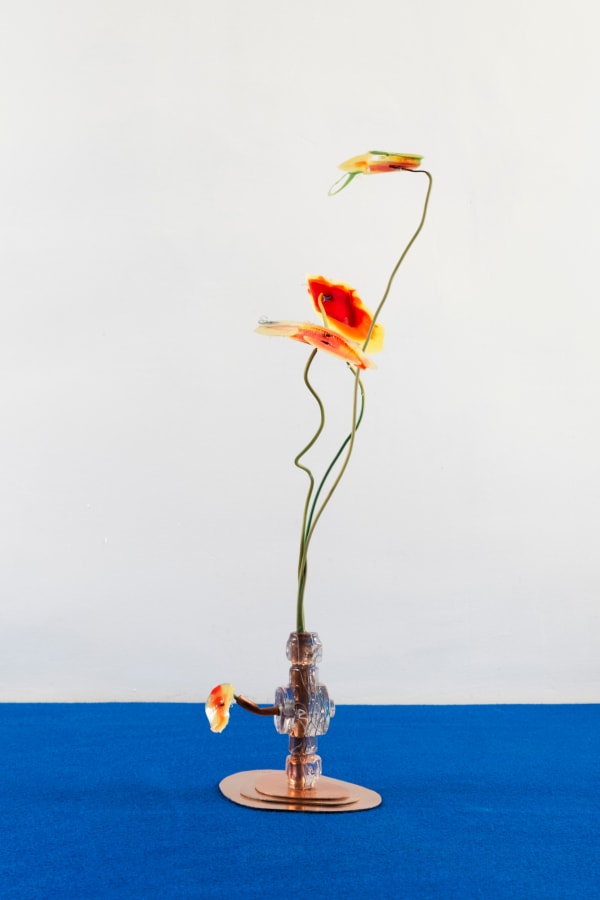 Gillian Brett, Bromus Rubens (var Papaver rhoeas), 2025