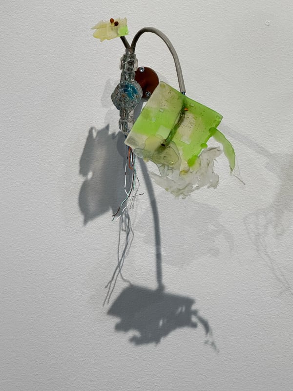 Gillian Brett, Bromus Driandus, 2022