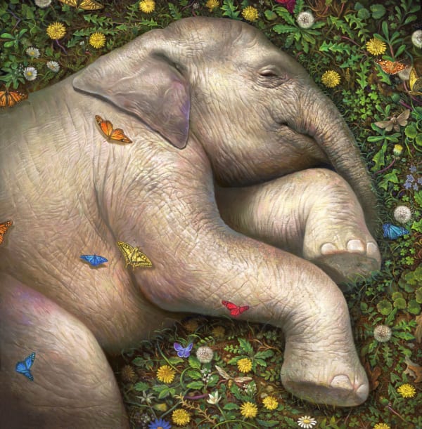 Koh Kisung Yuri, 2021 Oil on canvas 76 x 76 cm 30 x 30 inch