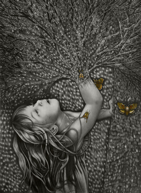 Alessia Iannetti Daphne, 2012 Graphite and coloured pencil on paper 37.2 x 27 cm