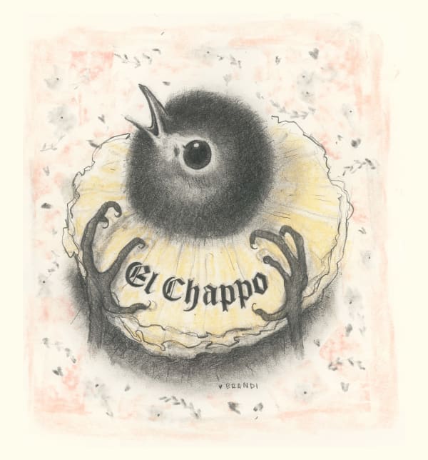 Brandi Milne EL Chapo, 2019 Graphite and Pastel on paper 25 x 23 cm