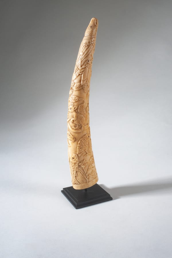Vili Trumpet