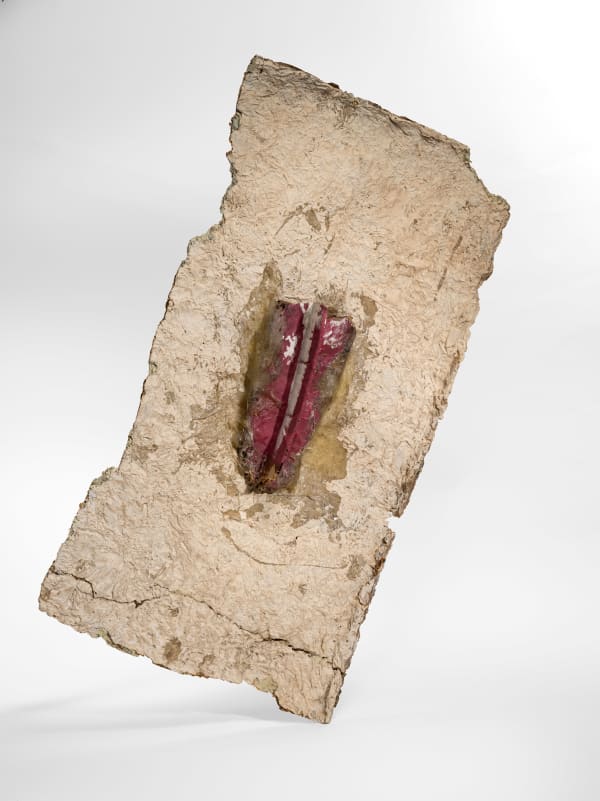 Franz West, Der Sittsamkeit spottend, 1981
