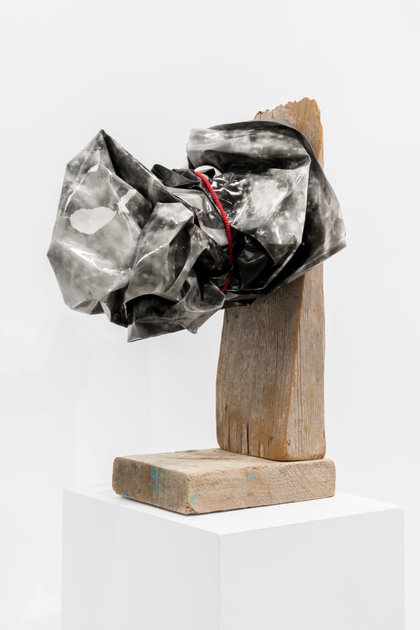 Michael Flomen S.Q.I., 2023 Acrylic on photogram, cotton string, wood 29 ½ x 20 x 20 inches 74.9 x 50.8 x 50.8 cm