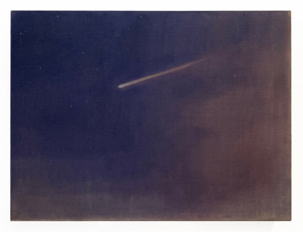 Michelle Paterok, Night Sky (Perseid Meteor), 2023