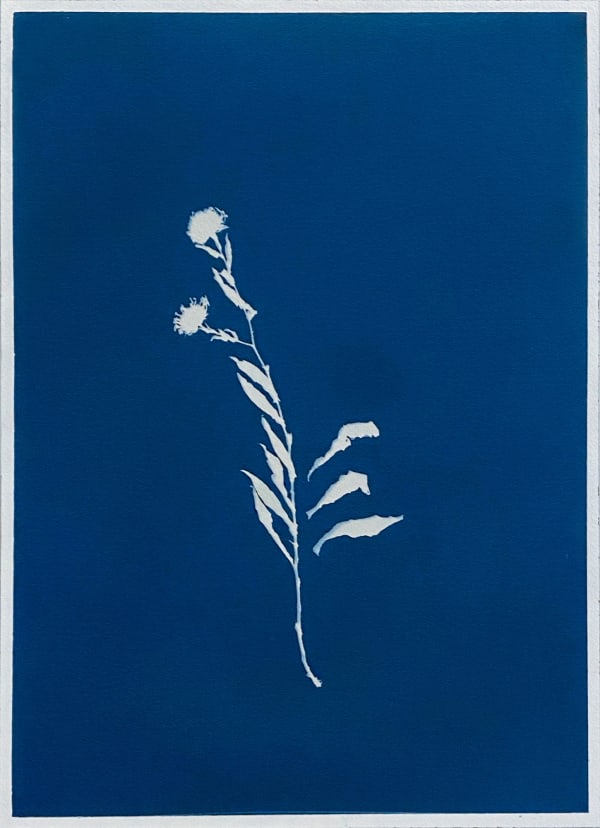 Anahita Norouzi, Displaced Garden 3, 2021