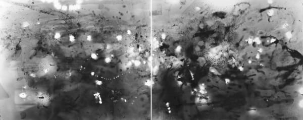 Michael Flomen Taps, 2019 Gelatin Silver Toned Print 43 1/2 x 109 inches 110.5 x 276.9 cm 1/3 (Edition record)