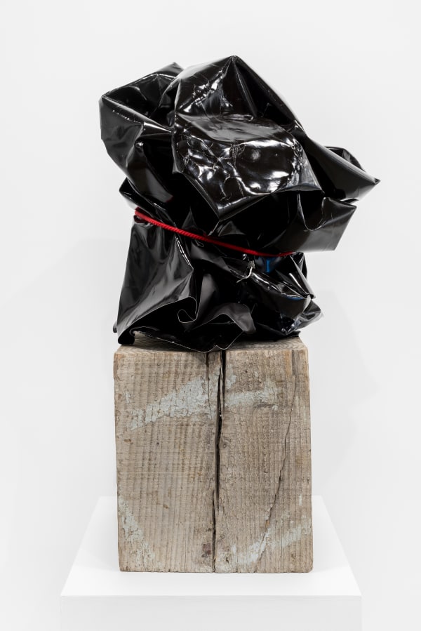 Michael Flomen Moon Burn, 2023 Acrylic on photogram, cotton string, wood 34 ½ x 18 x 18 inches 87.6 x 45.7 x 45.7 cm