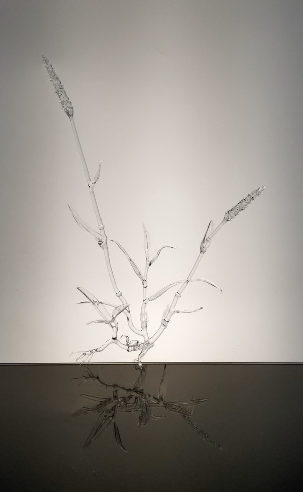 Anahita Norouzi, From the Other Side 2, 2020