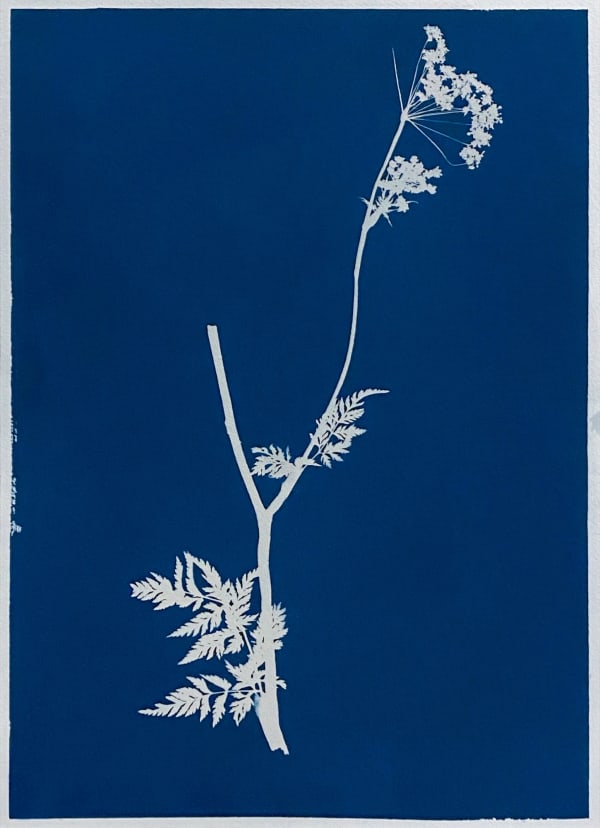 Anahita Norouzi, Displaced Garden 7, 2021