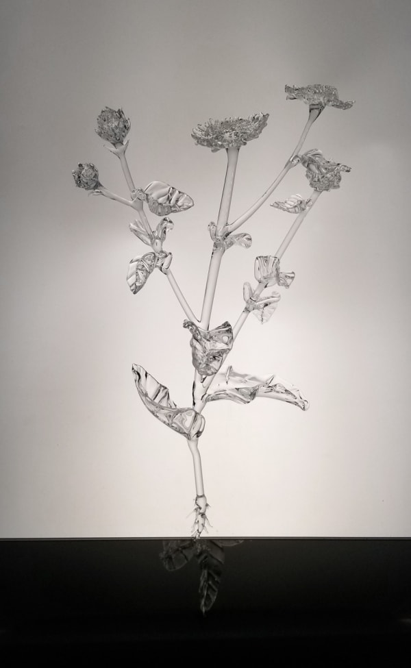 Anahita Norouzi, From the Other Side 4, 2020