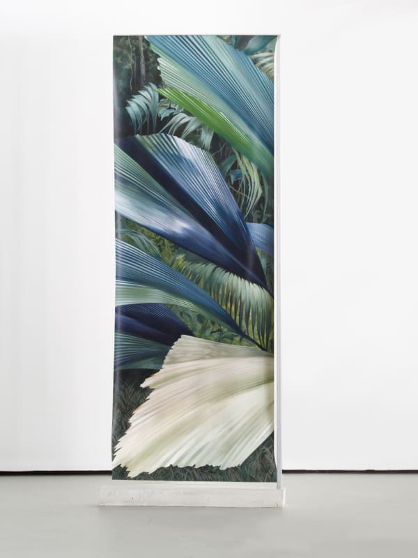 Aline Setton, Plissada, 2025