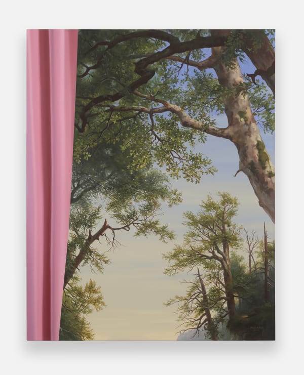 Shawn Huckins, The Catskiils With Pink Curtain (after Durand), 2025