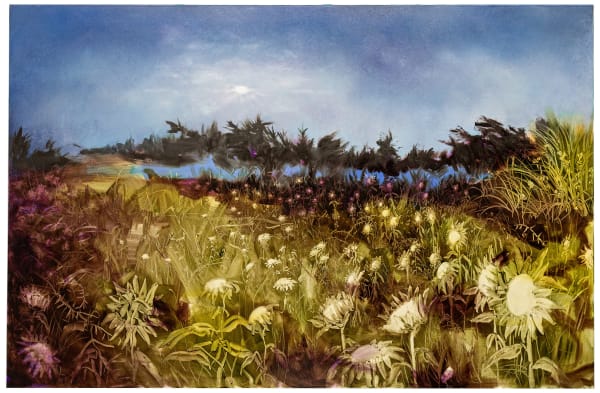 Sylvia Trotter Ewens, Their Petals Breathe Sun Rays, 2024