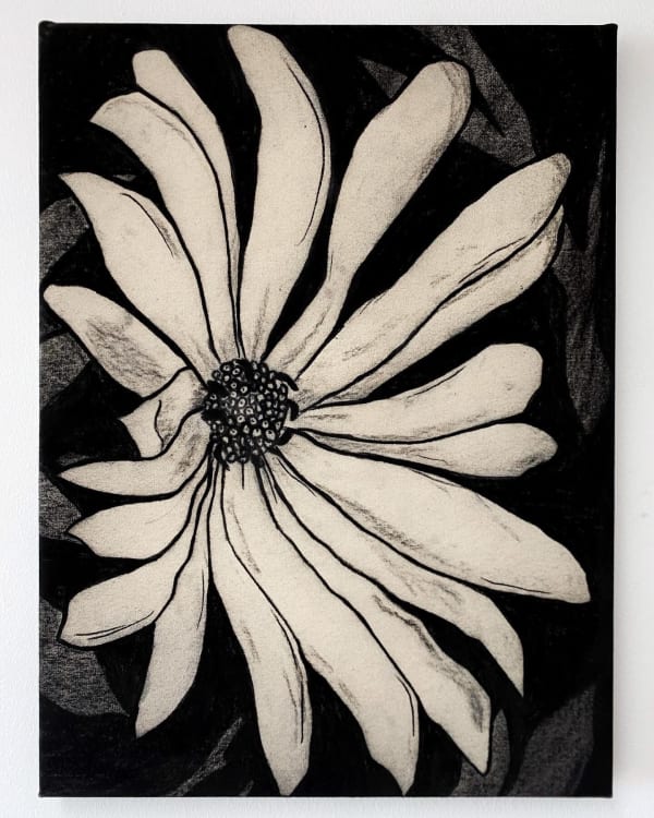 Benjamin Murphy, Liaoceratops, 2022