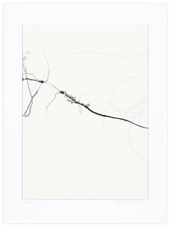 Emil Lukas Bubble Up Anatomy Edition Print