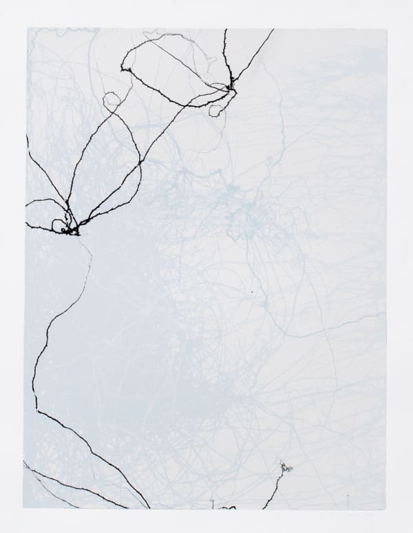 Emil Lukas Larva 8 Mono Print