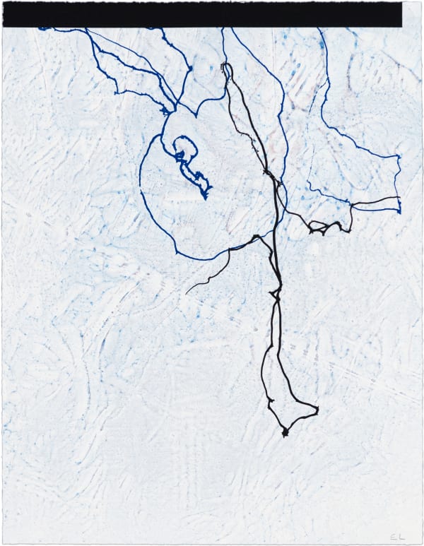 Emil Lukas Double Event Larva 1899 Mono Print