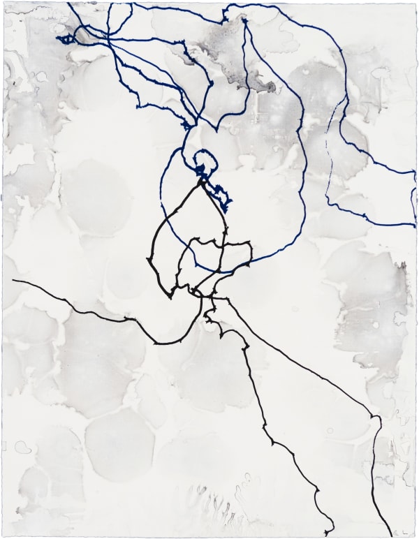 Emil Lukas Double Event Larva 1892 Mono Print