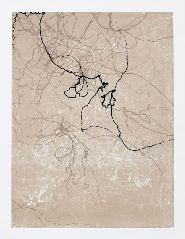 Emil Lukas Larva 23 Mono Print