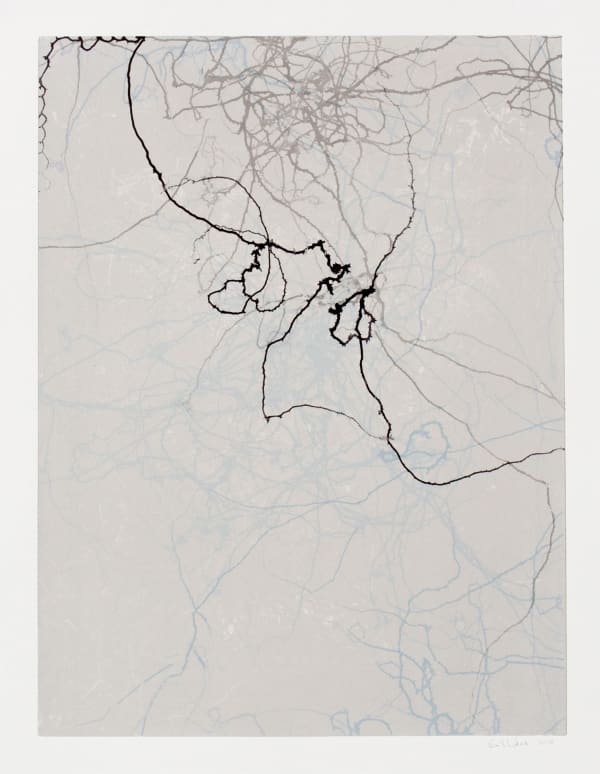 Emil Lukas Larva 18 Mono Print