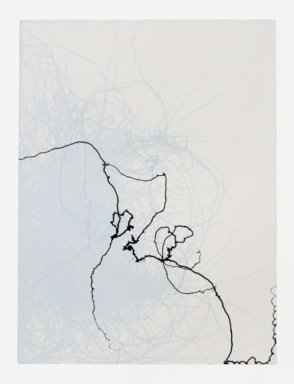 Emil Lukas, Larva 11, 2012