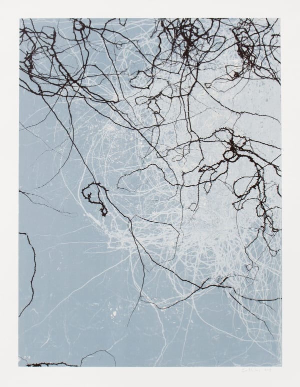 Emil Lukas Larva 21 Mono Print