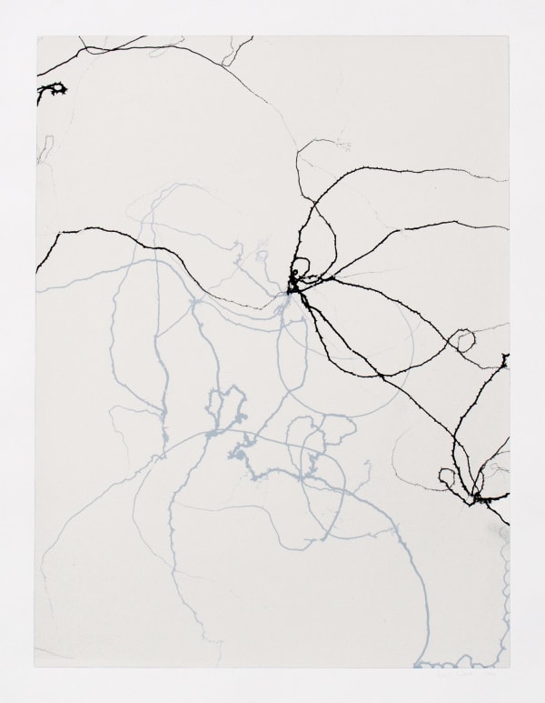 Emil Lukas Larva 9 Mono Print