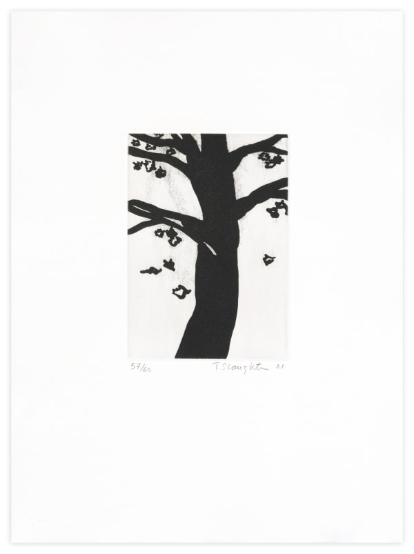Tom Slaughter Maple Tree Print Edition