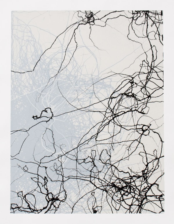 Emil Lukas Larva 10 Mono Print