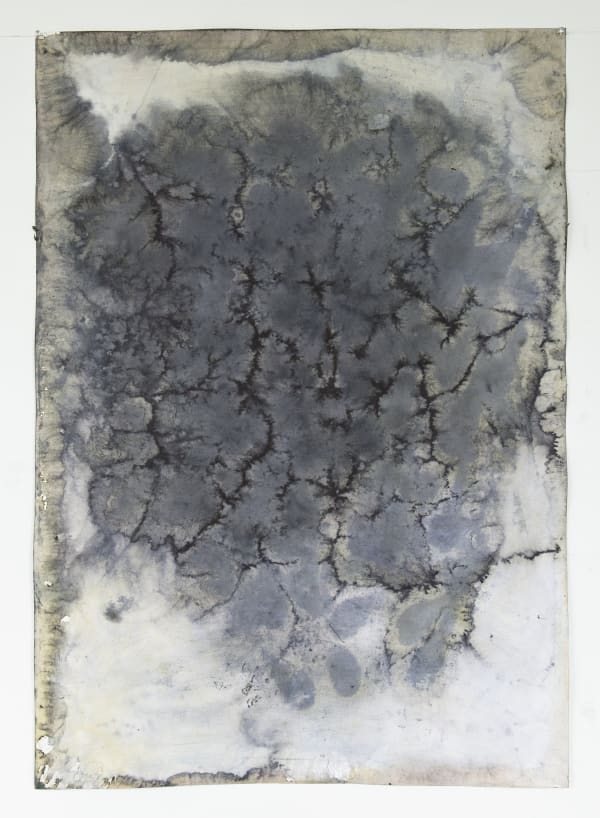 Paul Beumer, Untitled, 2014