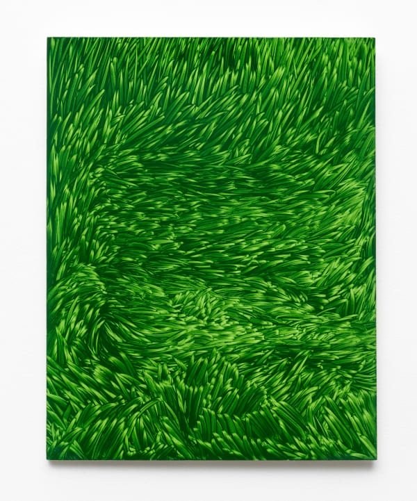 Maja Klaassens, Grass, 2025