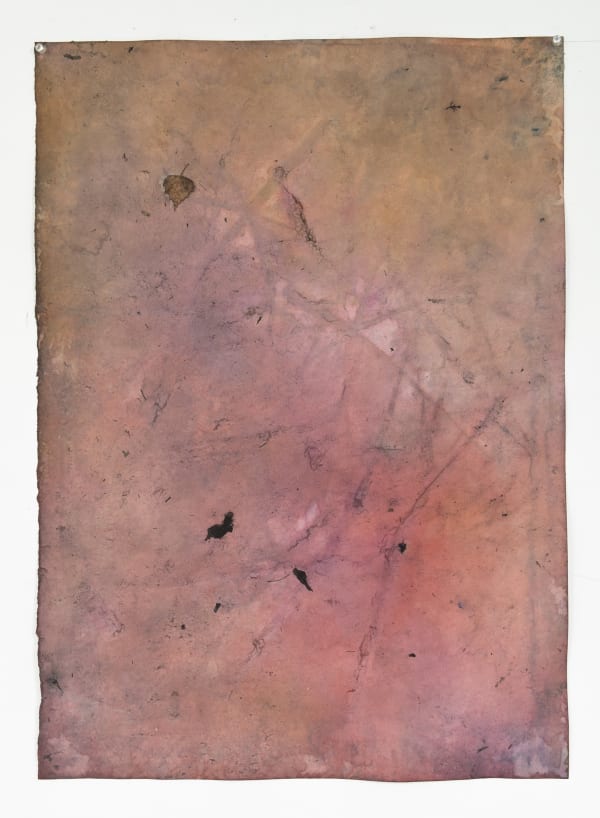 Paul Beumer, Untitled , 2014