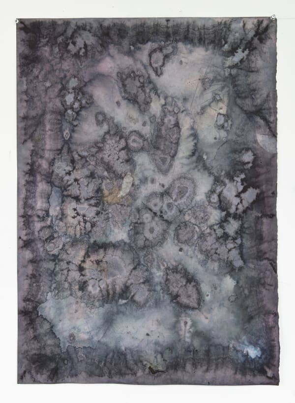 Paul Beumer, Untitled, 2014