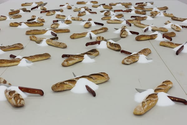 Mircea Cantor, Stranieri, 2007-2016