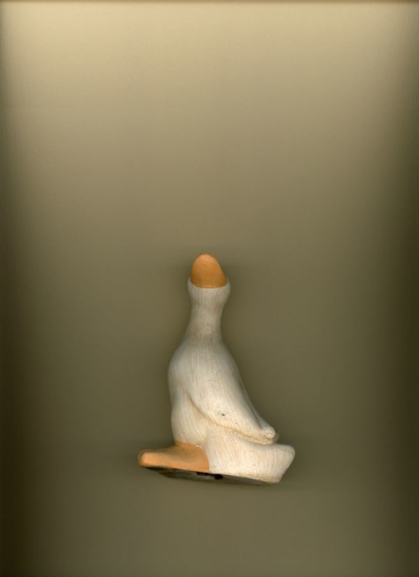 Noa Zait, Duck, 2022