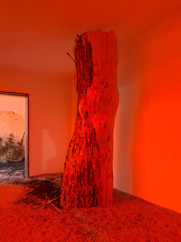 Latifa Echakhch, Le Concert (figure 3) , 2022