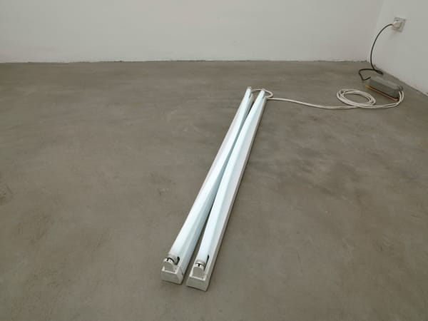 Ariel Schlesinger, Untitled, 2007